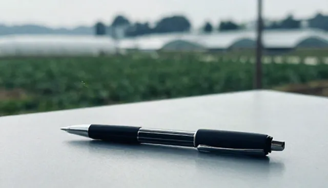 信息策划中选型关注点影响结果的原因分析
