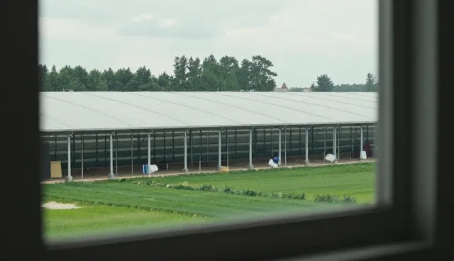 品牌咨询在客户关系管理中的应用与实践